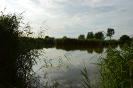 Bilderserie Schönfelder See August 14
