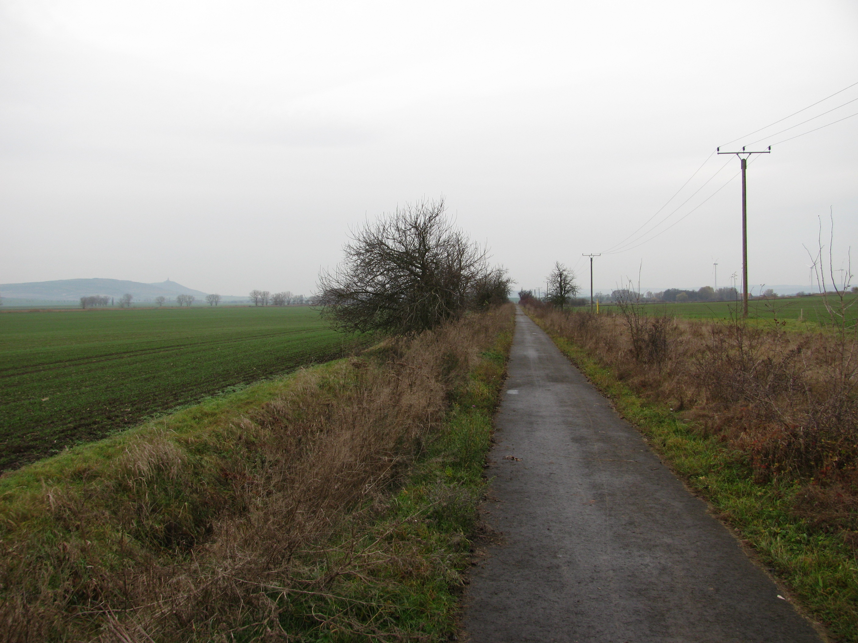Kyffhäuser Kleinbahndamm