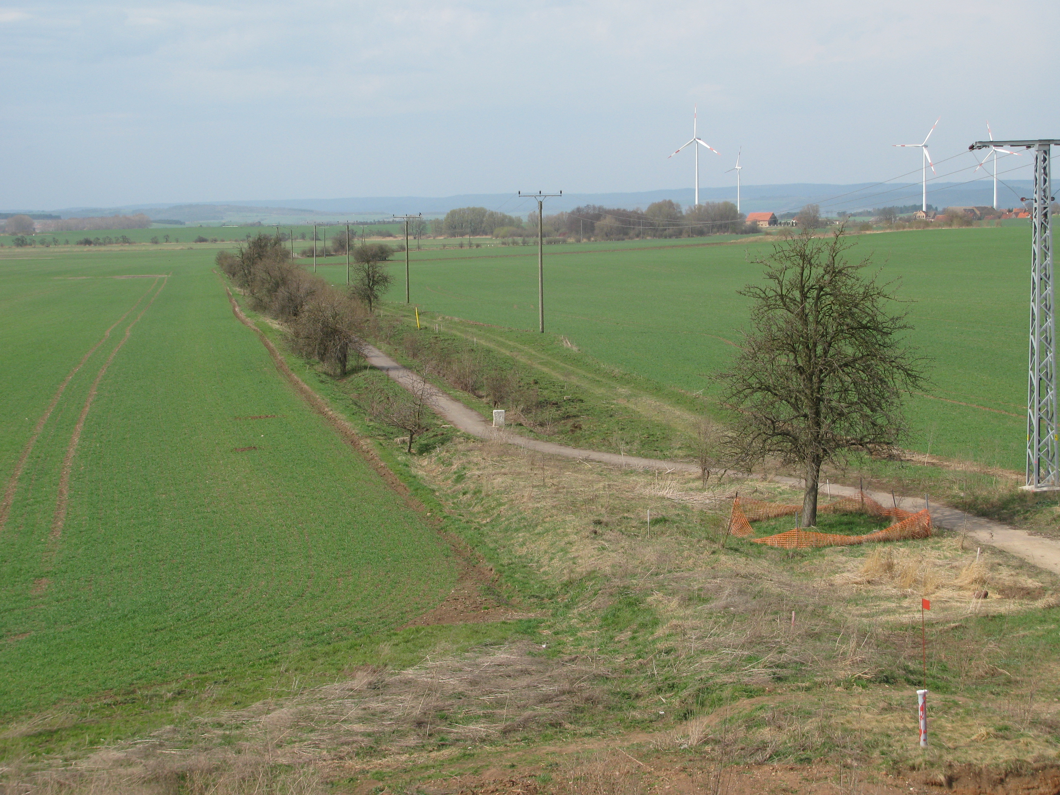 Kyffhäuser Kleinbahndamm Kyffhäuser Kleinbahn damm