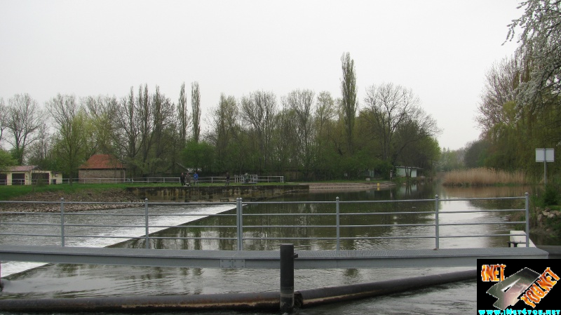 Wasser Schnecke Artern