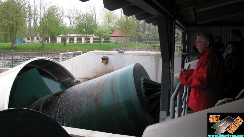 Wasser Schnecke Artern