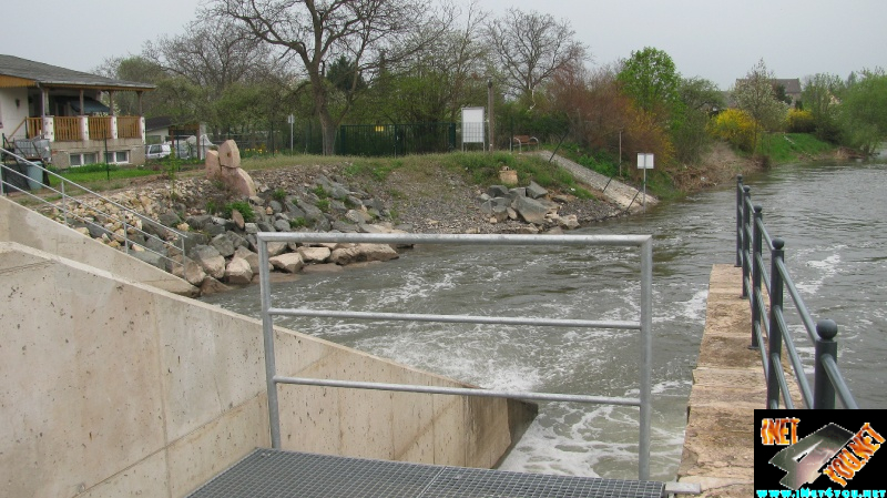 Wasser Schnecke Artern