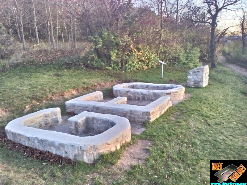 Weinberg am 31. oktober _1