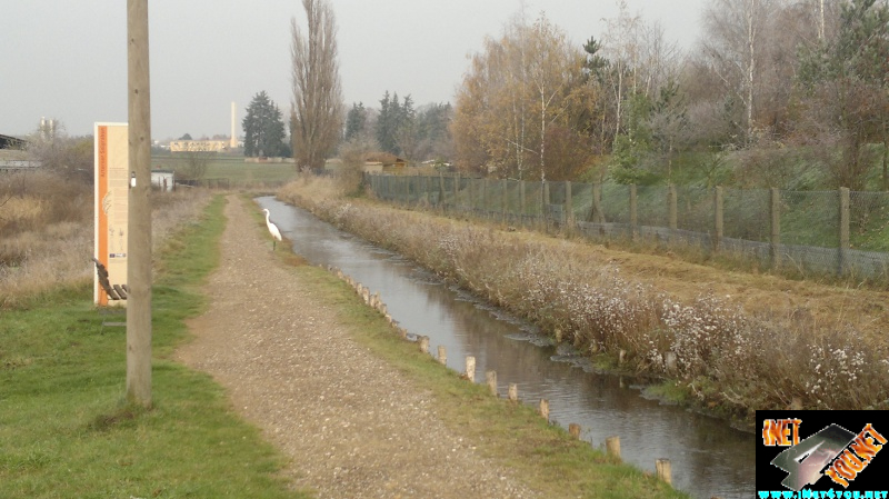 Auch ihn ist es kalt