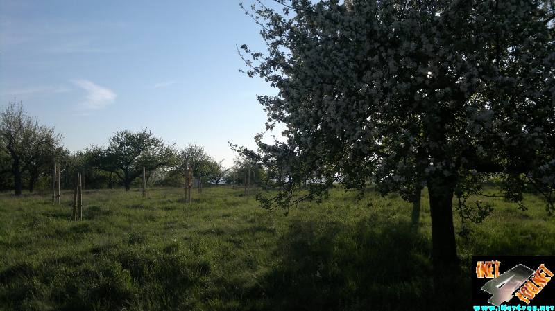 Frühlingserwachen Artern 2014