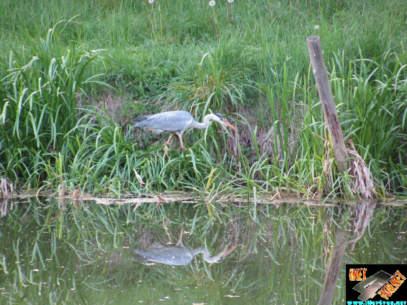 Frühlingserwachen Artern 2014