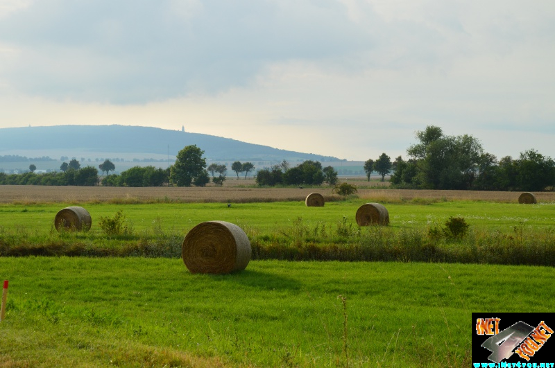 Bilderserie Schönfelder See August 14
