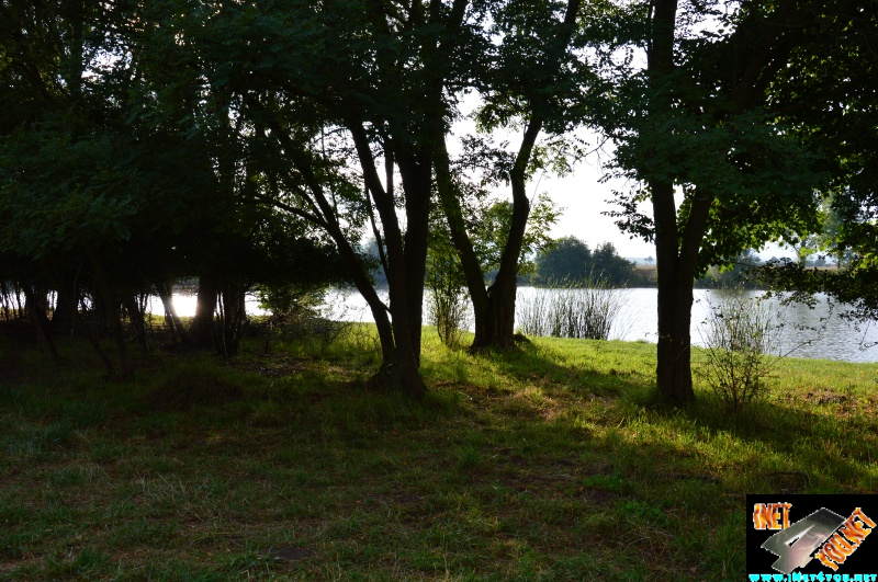 Bilderserie Schönfelder See August 14