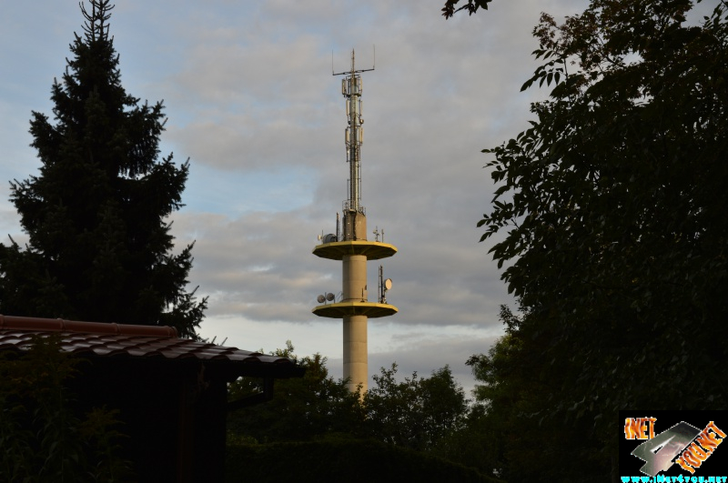 Weinberg Artern 08.14