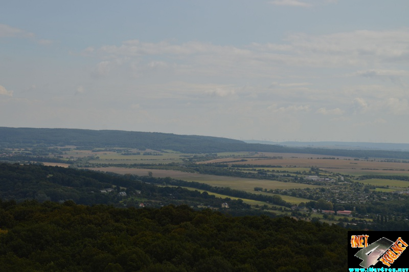 Haldenbesteigung Höhe Linde 08.2014