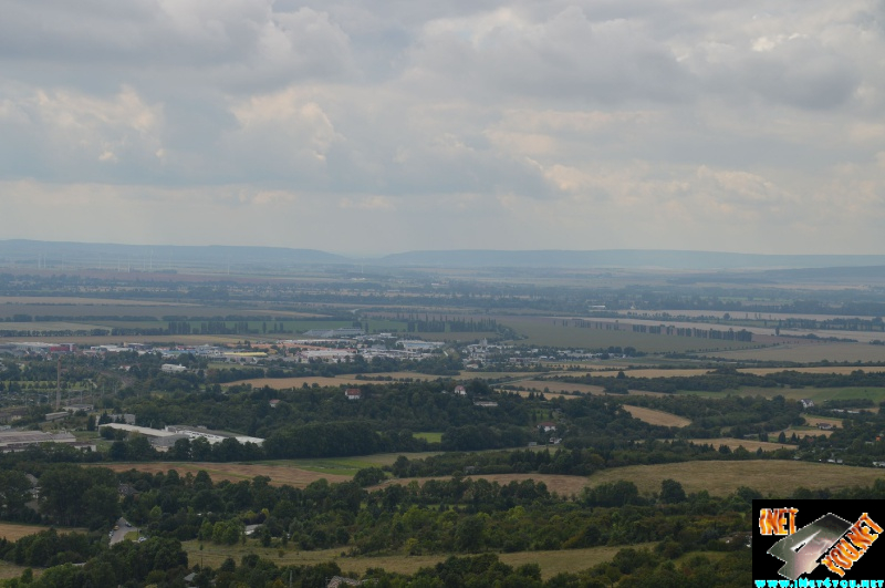 Haldenbesteigung Höhe Linde 08.2014