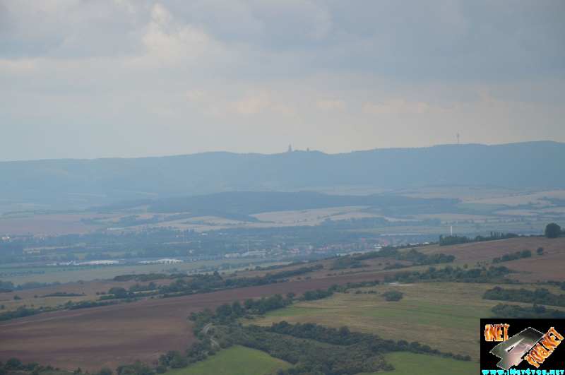 Haldenbesteigung Höhe Linde 08.2014