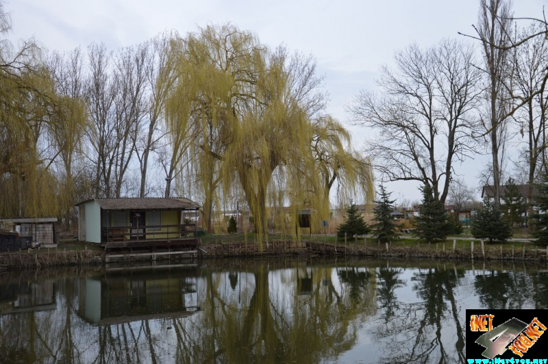 Artern im Jahr 2015_7