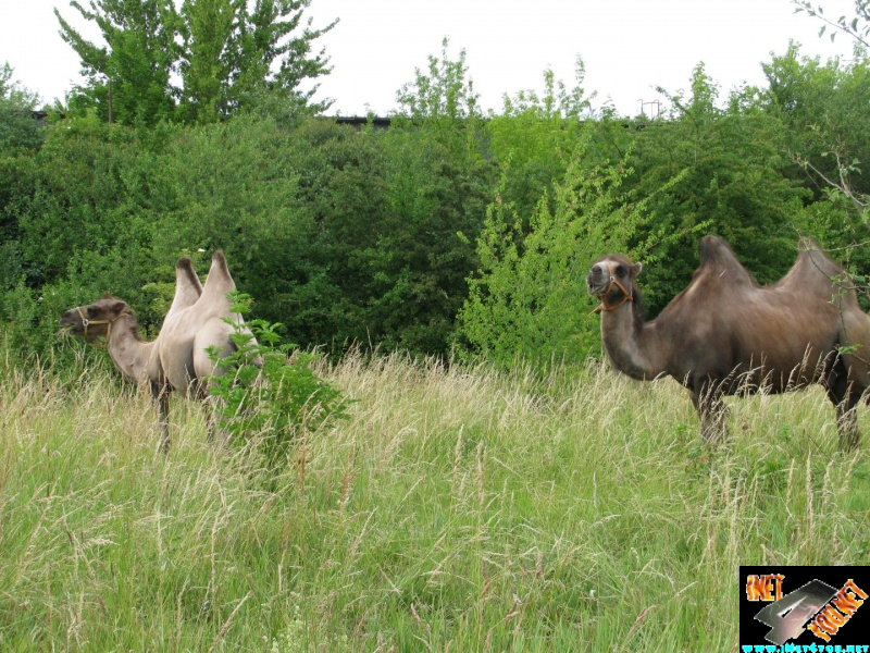 Artern im Jahr 2015_12