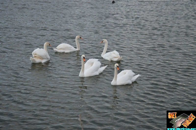 Artern im Jahr 2015_44