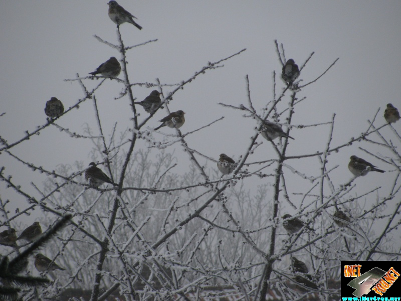 Artern im Jahr 2016_1