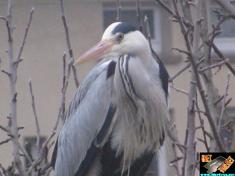 Artern im Jahr 2016_2