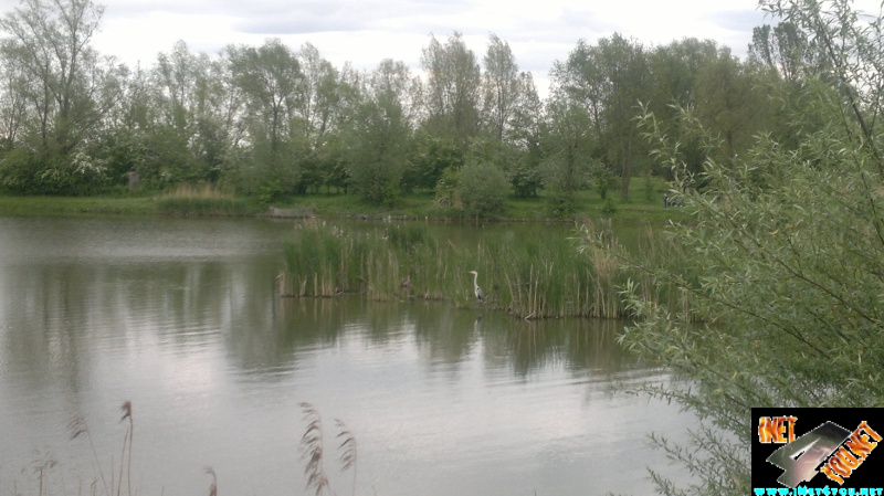 Unstrutbrücke Mai 2012