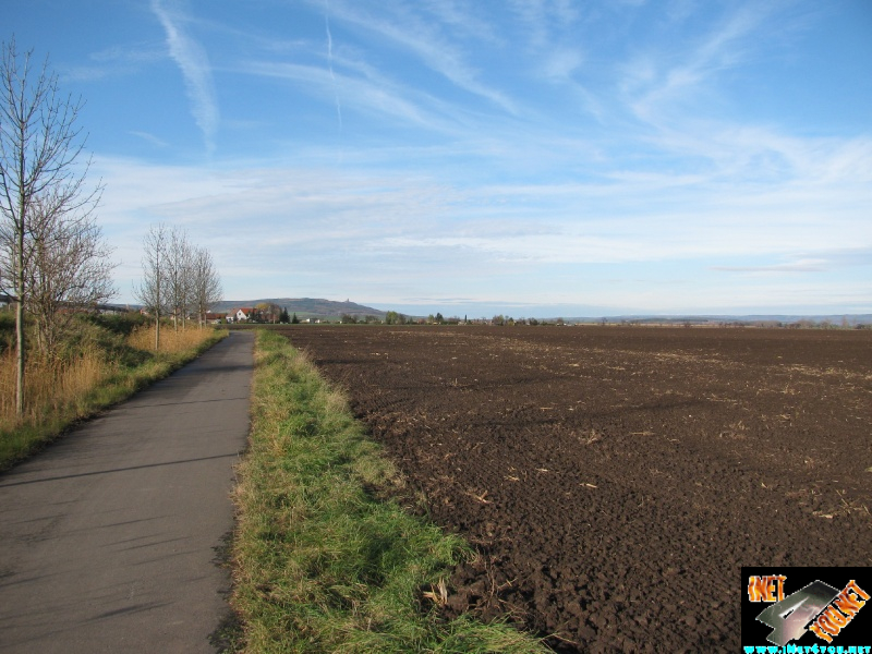 Brücke Schönfeld Nov 2010 