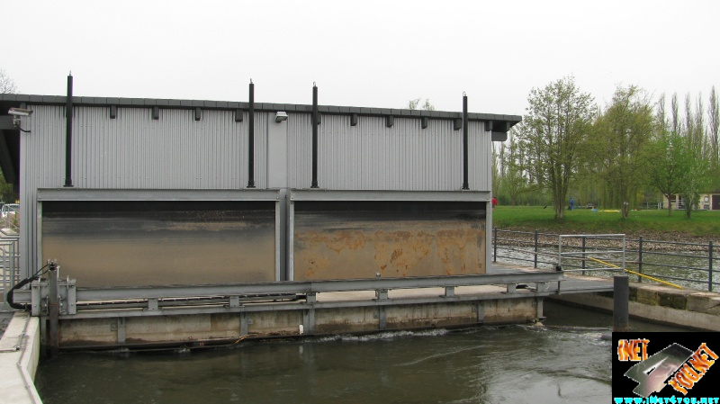 Wasser Schnecke Artern