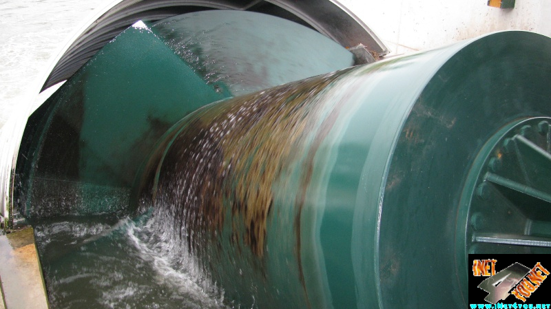 Wasser Schnecke Artern