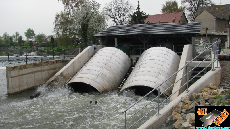 Wasser Schnecke Artern