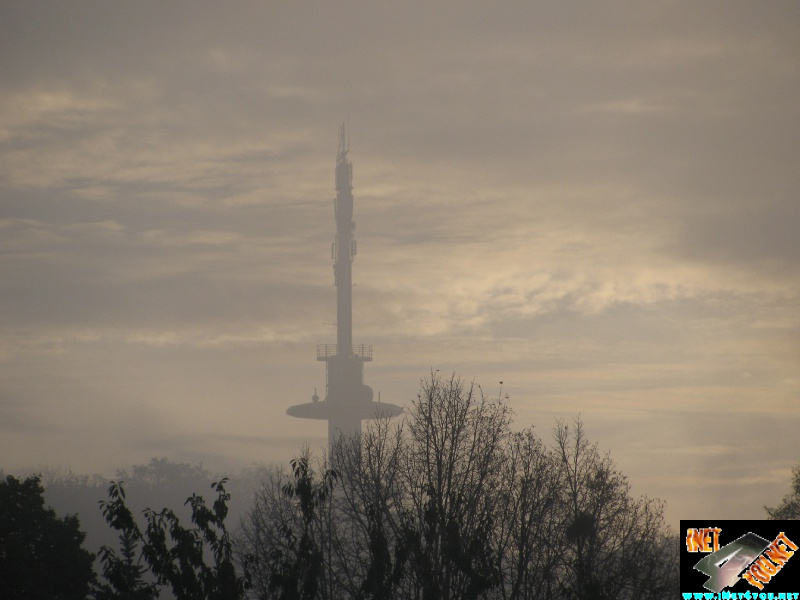 Oktobermorgen im Nebel