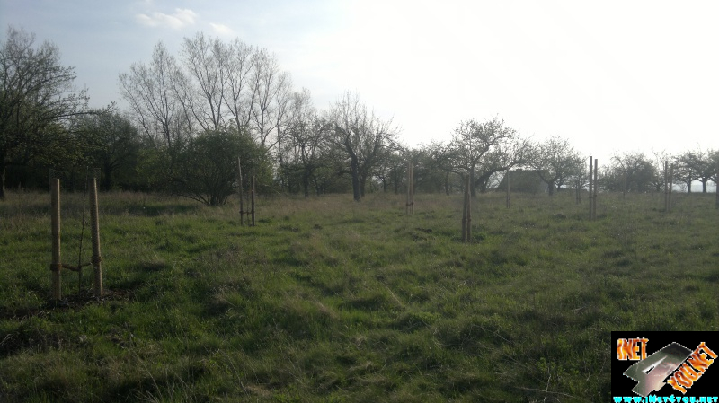 Frühlingserwachen Artern 2014