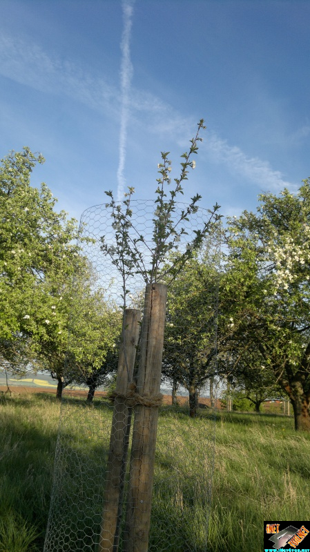 Frühlingserwachen Artern 2014