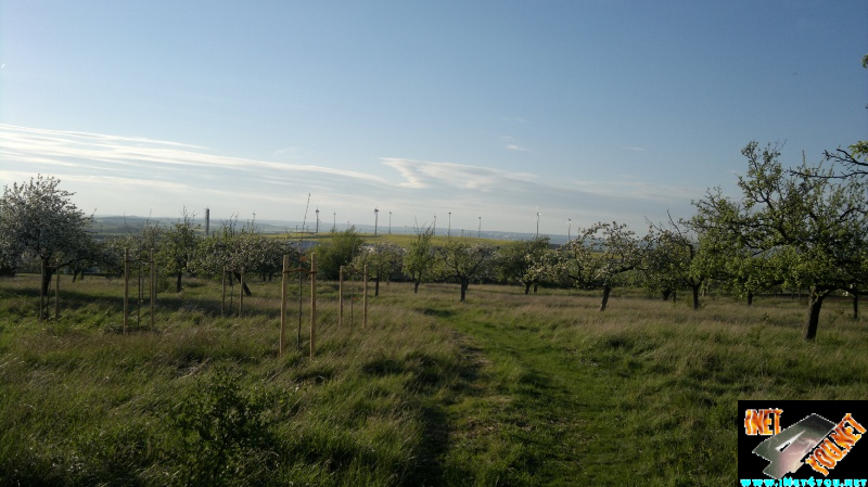 Frühlingserwachen Artern 2014