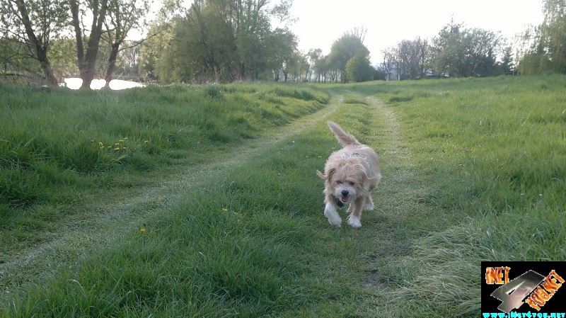 Frühlingserwachen Artern 2014