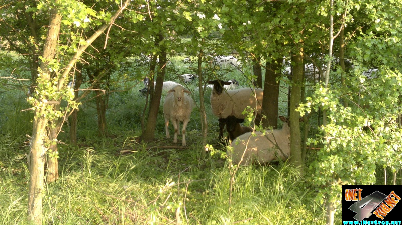 Frühlingserwachen Artern 2014