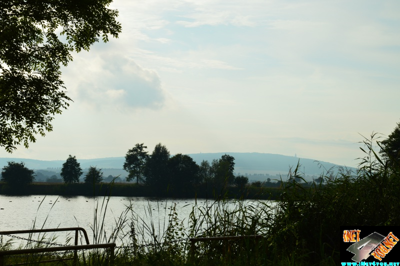 Bilderserie Schönfelder See August 14