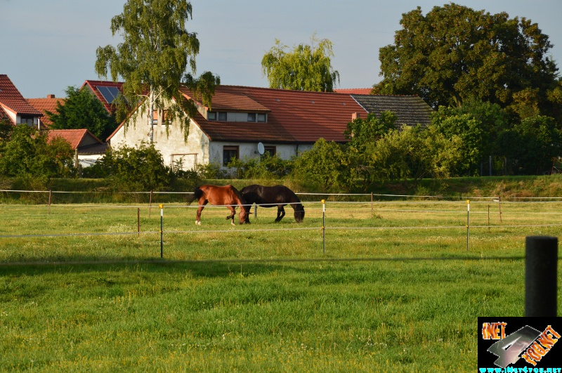 Bilderserie Schönfelder See August 14
