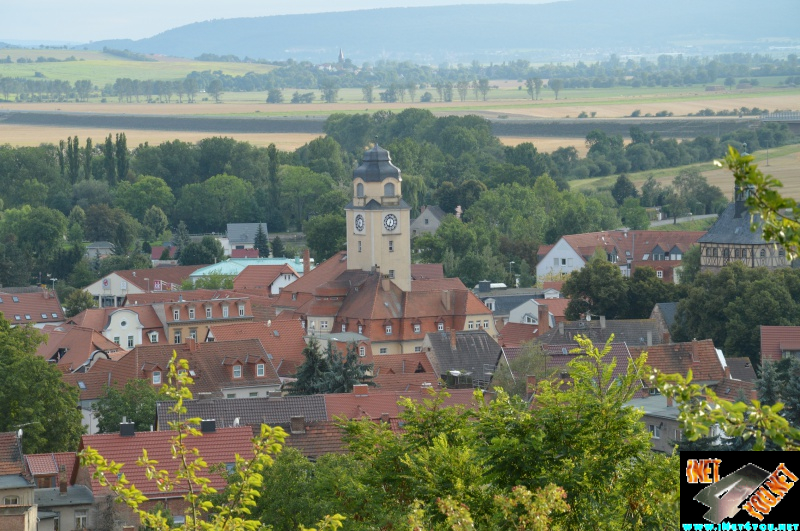 Weinberg Artern 08.14