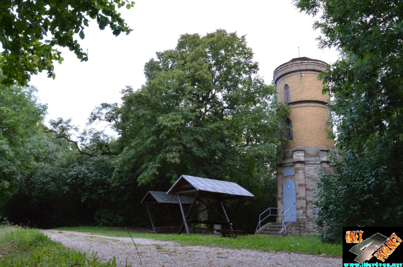 Weinberg Artern 08.14