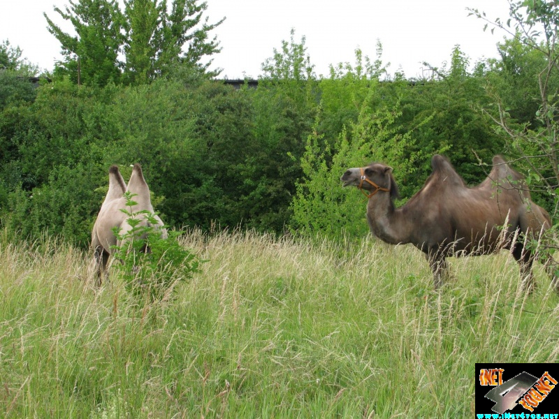 Artern im Jahr 2015_11