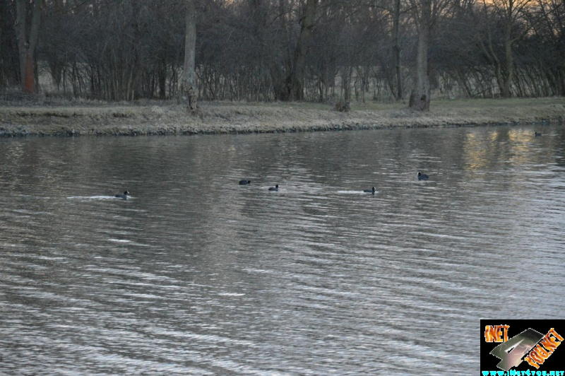 Artern im Jahr 2015_48