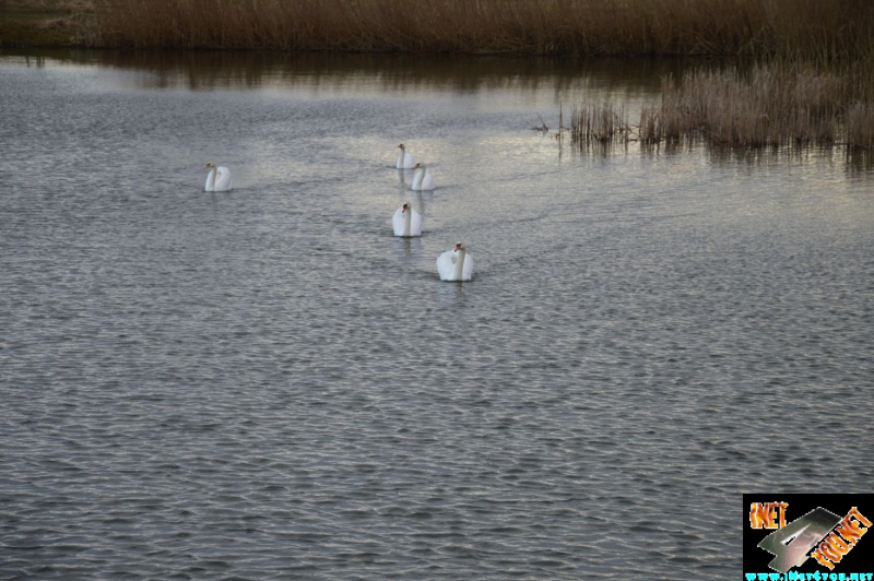 Artern im Jahr 2015_49