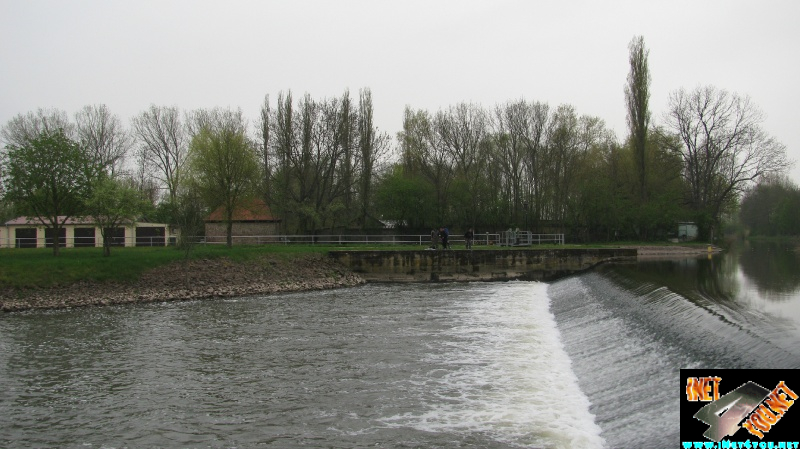 Wasser Schnecke Artern