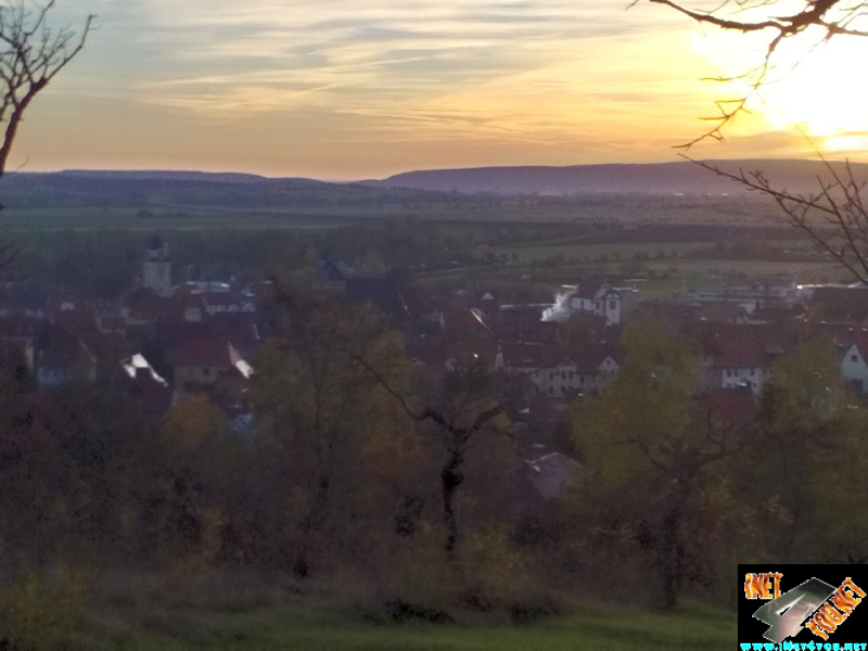 Weinberg am 31. oktober _3