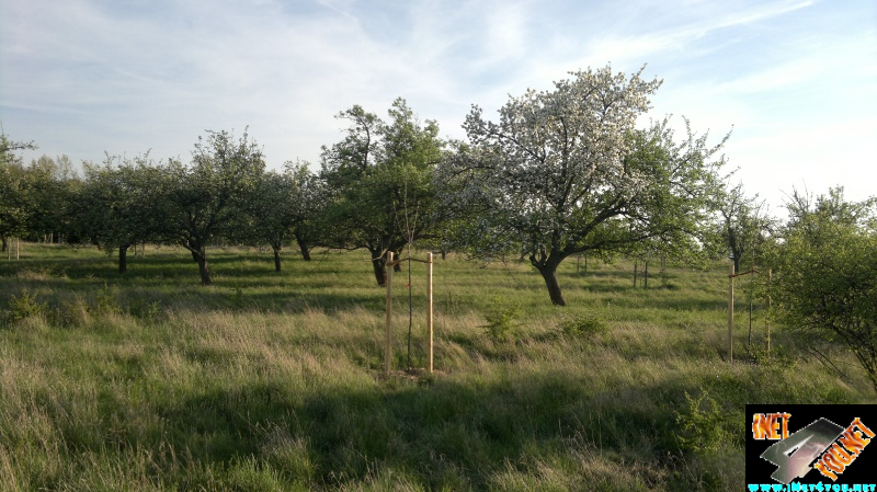 Frühlingserwachen Artern 2014