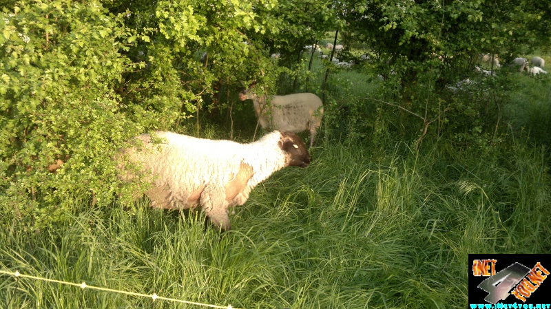 Frühlingserwachen Artern 2014