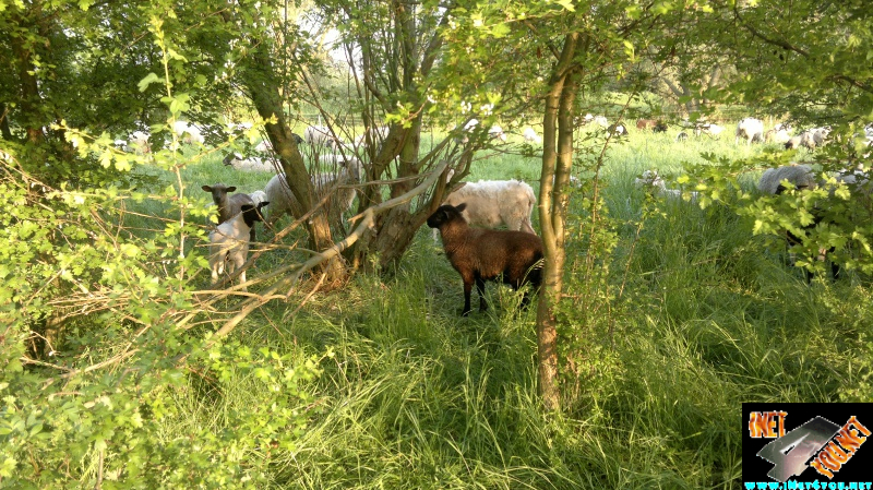 Frühlingserwachen Artern 2014