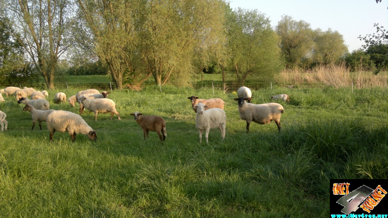 Frühlingserwachen Artern 2014