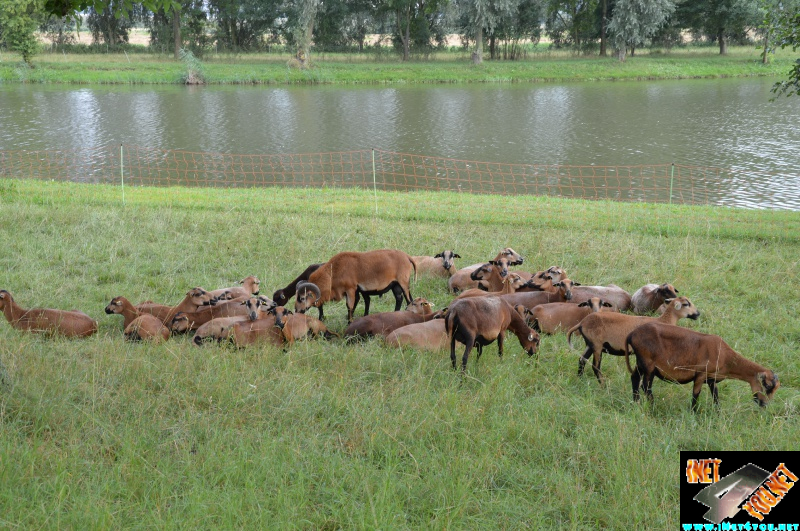 Bilderserie Schönfelder See August 14
