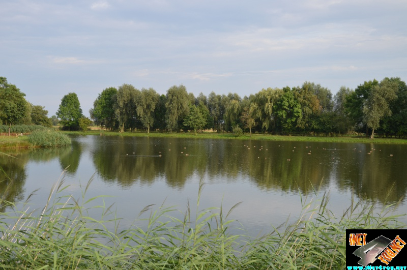 Bilderserie Schönfelder See August 14