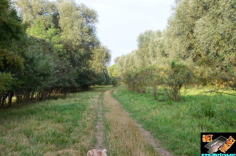 Bilderserie Schönfelder See August 14