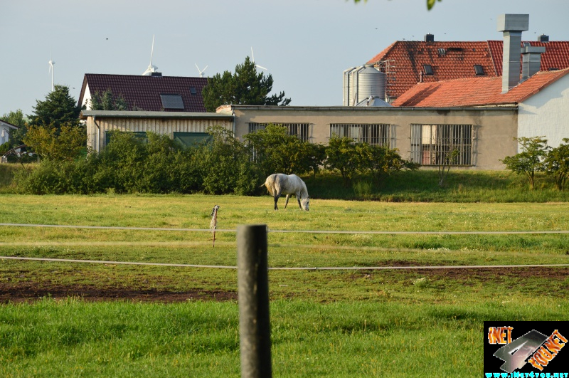 Bilderserie Schönfelder See August 14
