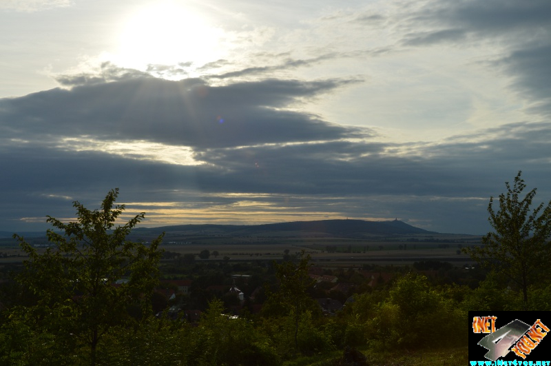 Weinberg Artern 08.14